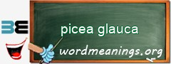 WordMeaning blackboard for picea glauca